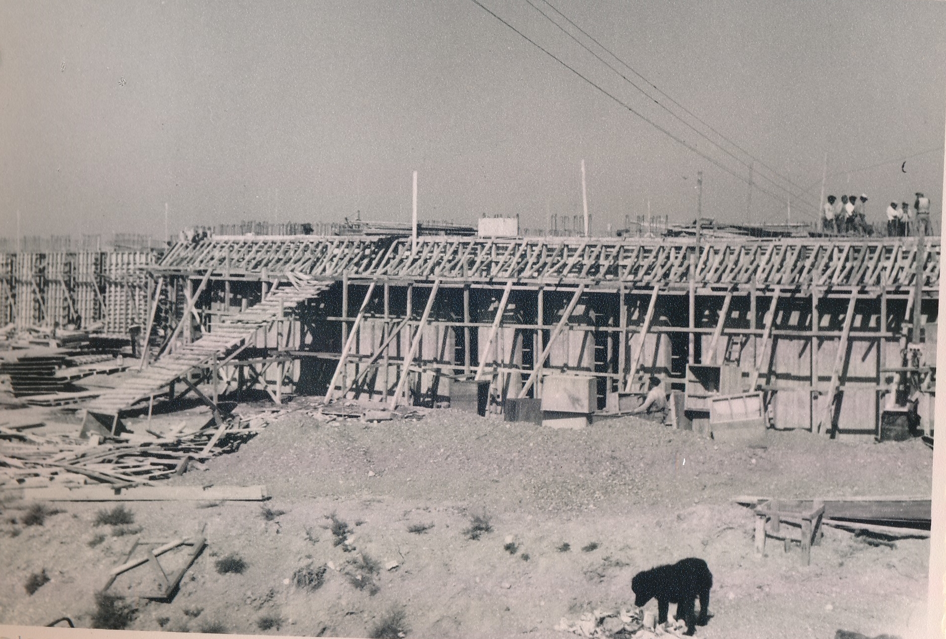 Workers on break at the Faculty of Architecture construction site (November 17, 1962)