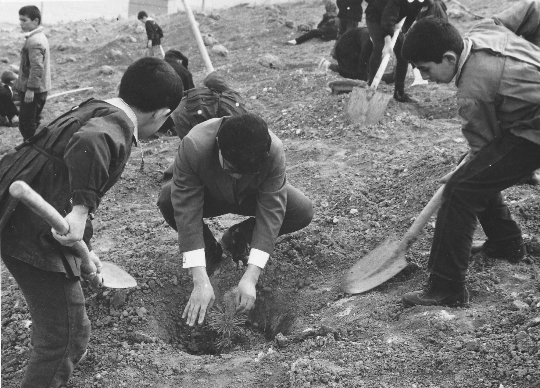 Dikmen Primary School students participating in the The Traditional Tree Planting Festival (1960s)