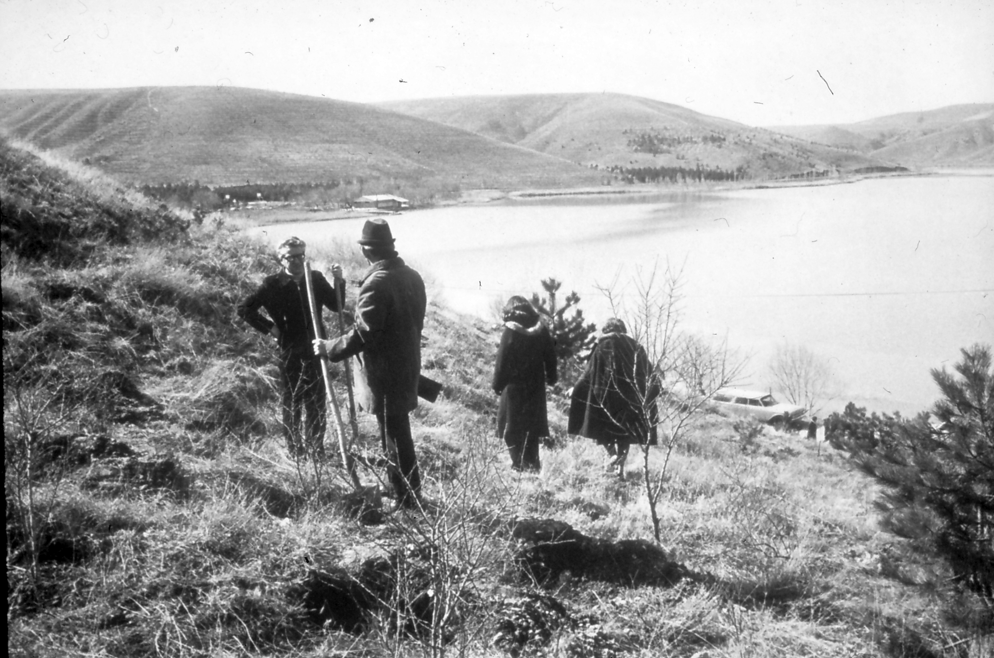 Annual tree planting activity (1960s)