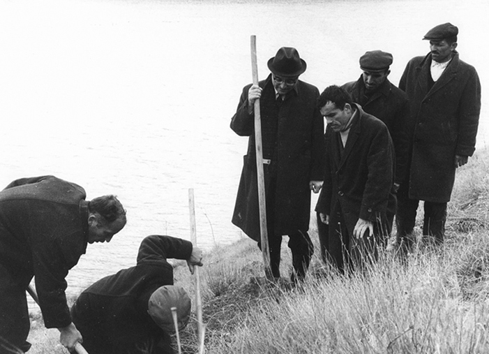 Annual tree planting activity (1960s)